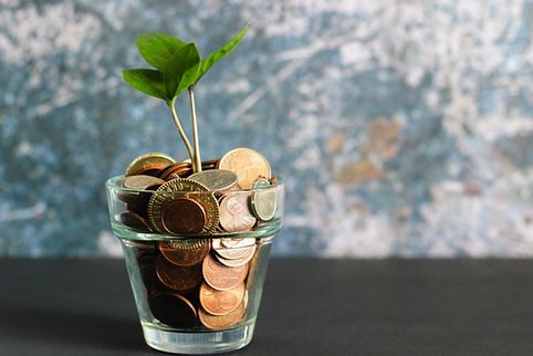 A shoot in a glass pot, gorwing up through coins (instead of soil) - Katie Stone, Education Business Services